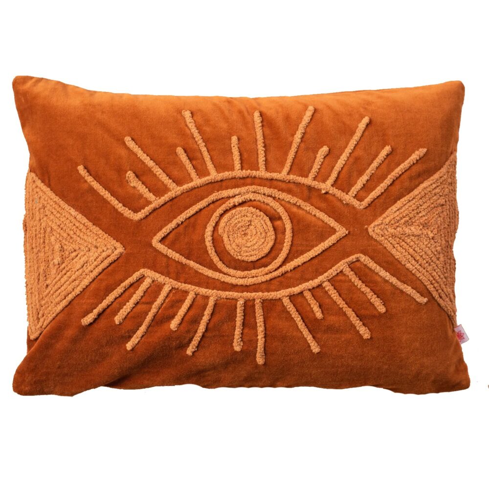 Ian Snow Velvet Eye Cushion Cover