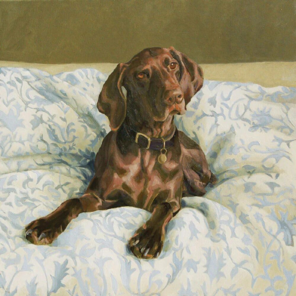 greeting card with Vizsla dog "Ruby" lying on a bed