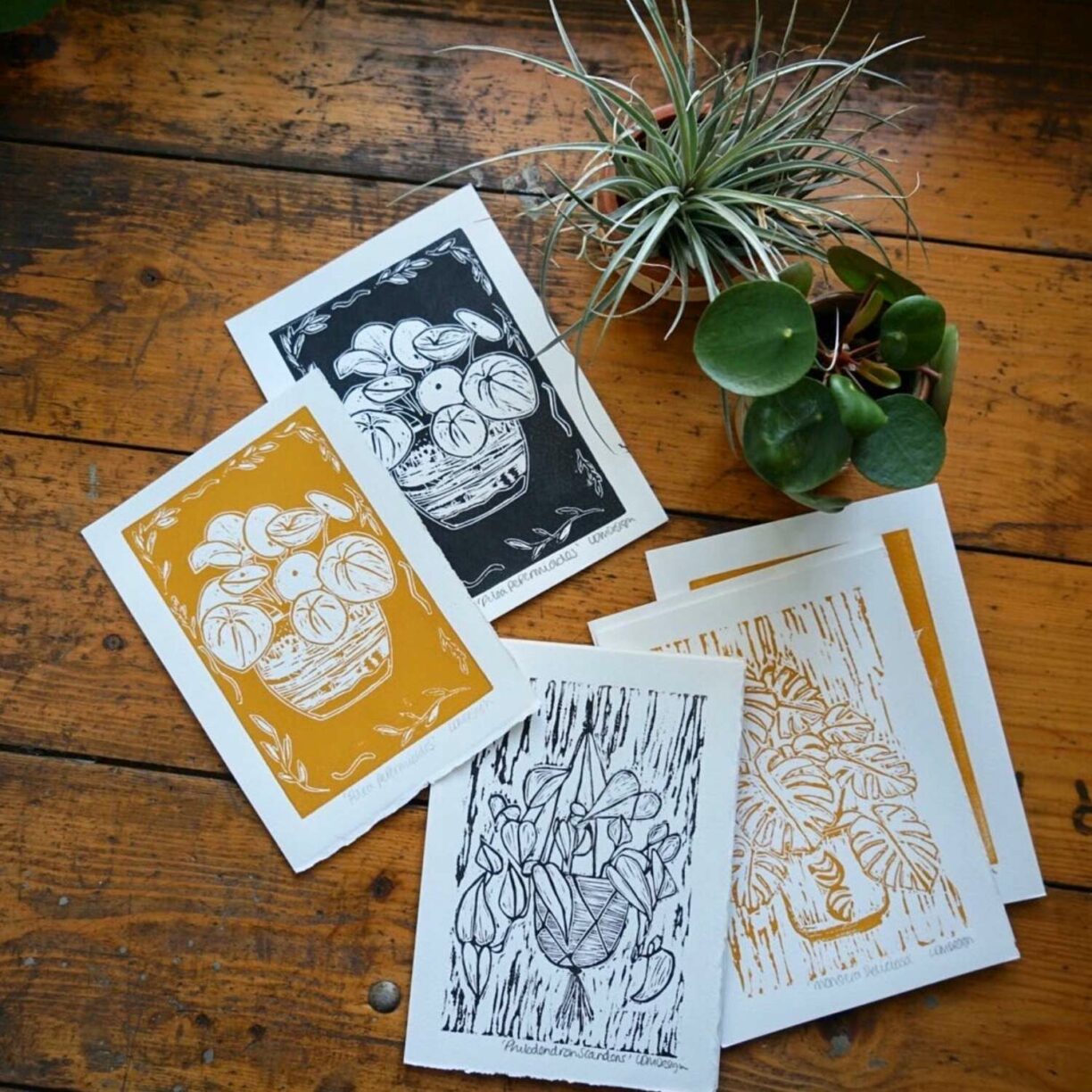 plant prints by Lucy Cartledge